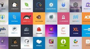 Wp Plugins